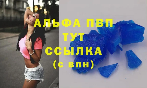 твердый Богданович