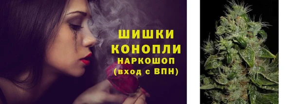 твердый Богданович