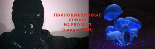 СК Богородицк