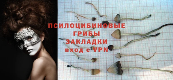 гидропоника Богородск