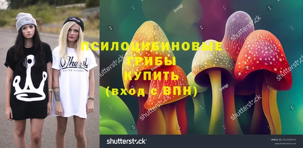 твердый Богданович