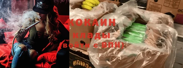 твердый Богданович