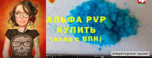СК Богородицк