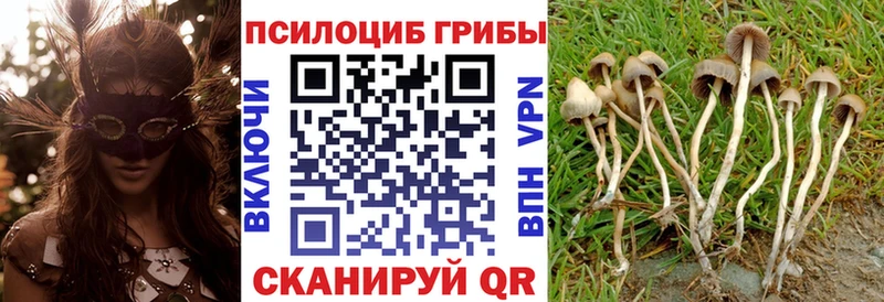 Купить закладки  Верхний Уфалей  Галлюциногенные грибы мицелий 